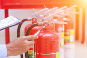 cat-mini-konserwatorzy